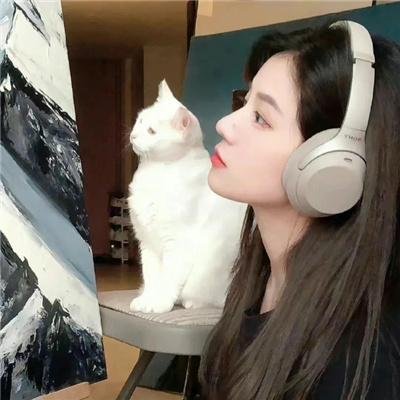 萌犬偷渡记